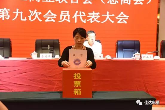 污软件免费下载电缆有限公司,污软件免费下载电缆,湖南污软件免费下载，